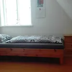 Apartment Und Haushälfte Friesland